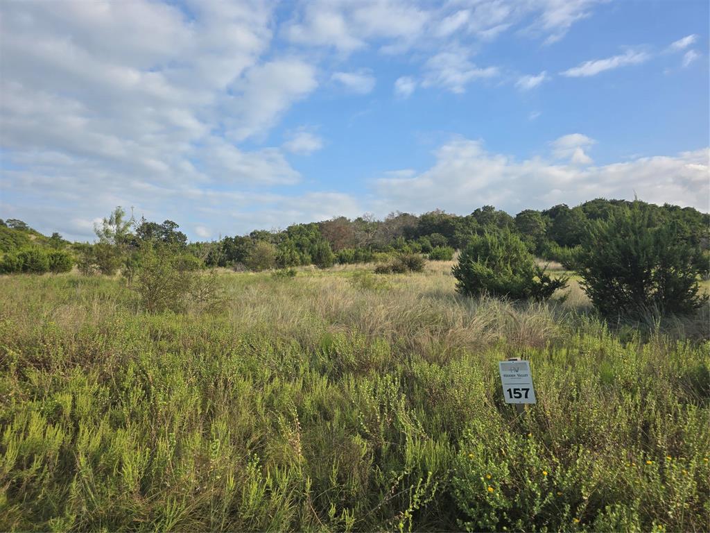 2277 Hidden Vly Road Glen Rose, TX 76043 - Photo 4 of 8 a view of lake with green space