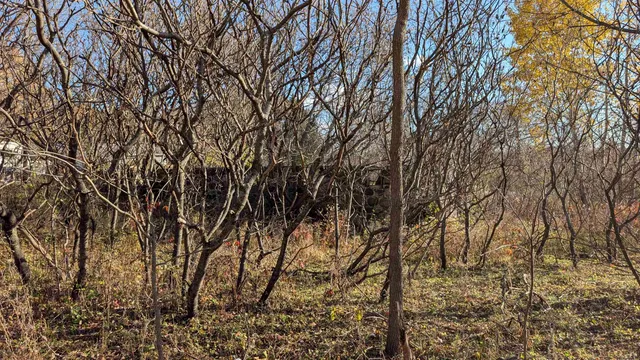 $25,000 | L17 Oak, Markesan, WI 53946