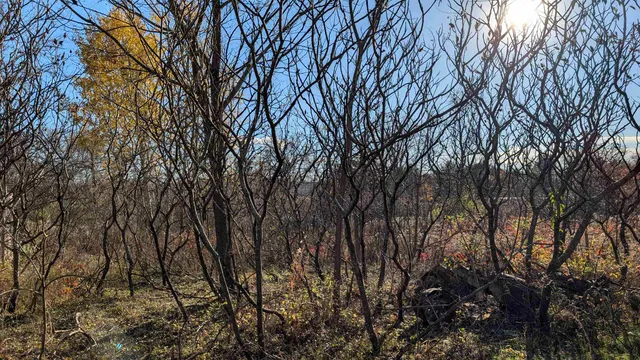 $25,000 | L17 Oak, Markesan, WI 53946