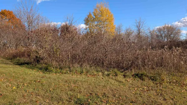 $25,000 | L17 Oak, Markesan, WI 53946