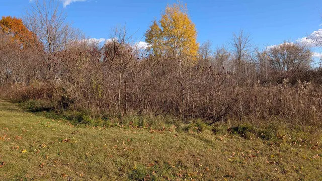 $25,000 | L17 Oak, Markesan, WI 53946