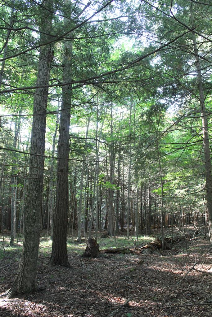 Lot 2 Gibraltar Road Fish Creek, WI 54212 - Photo 10 of 12