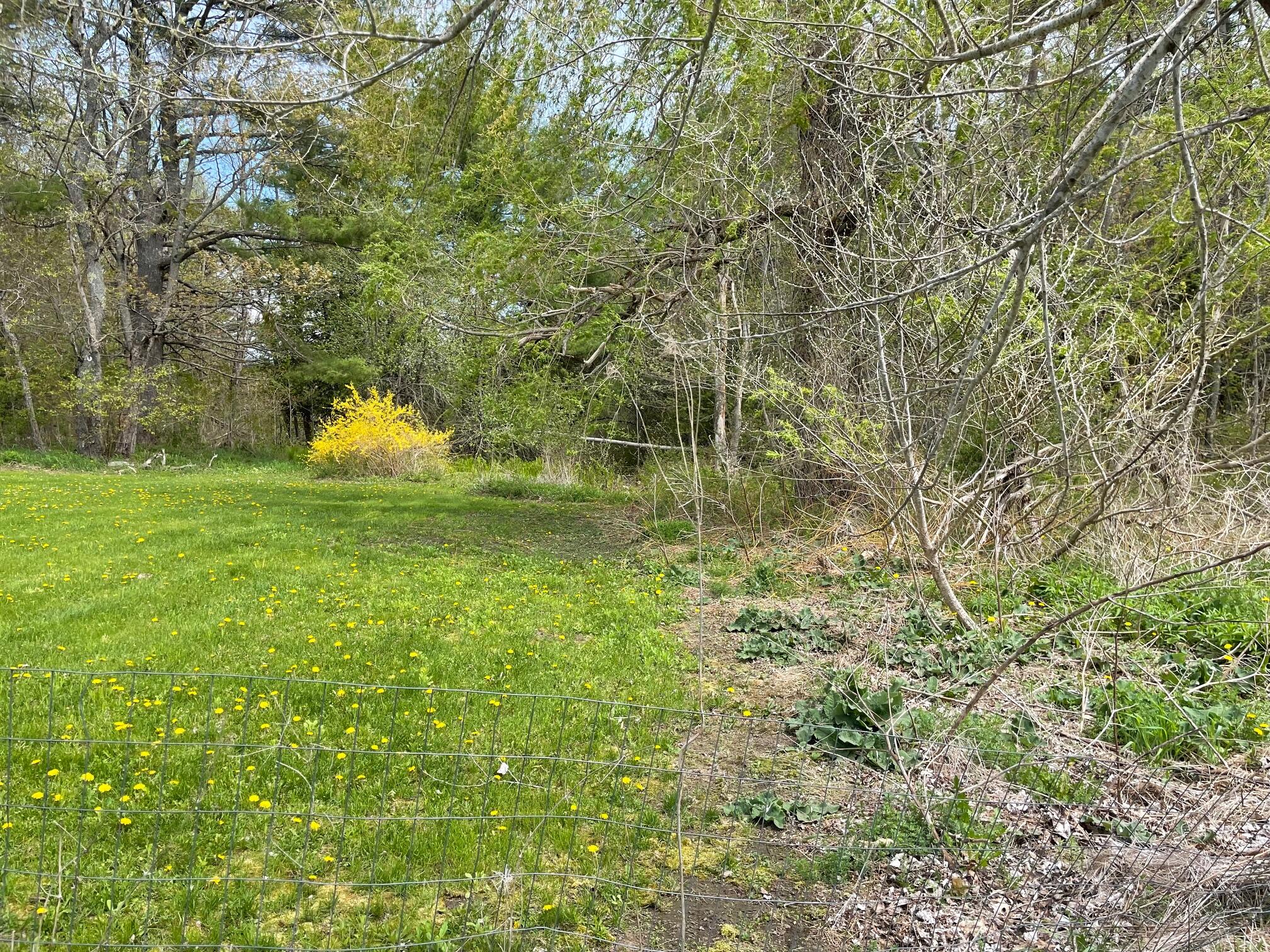 356 Marsh Stream Road Frankfort, ME 04438 - Photo 23 of 34 IMG_2871