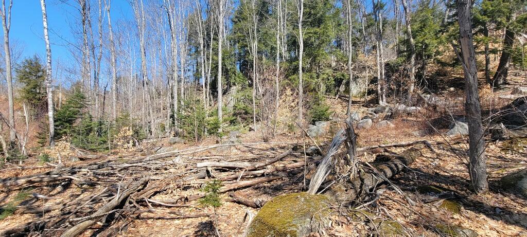 Lot 21 River Road Avon, ME 04966 - Photo 6 of 23 20260409_110424