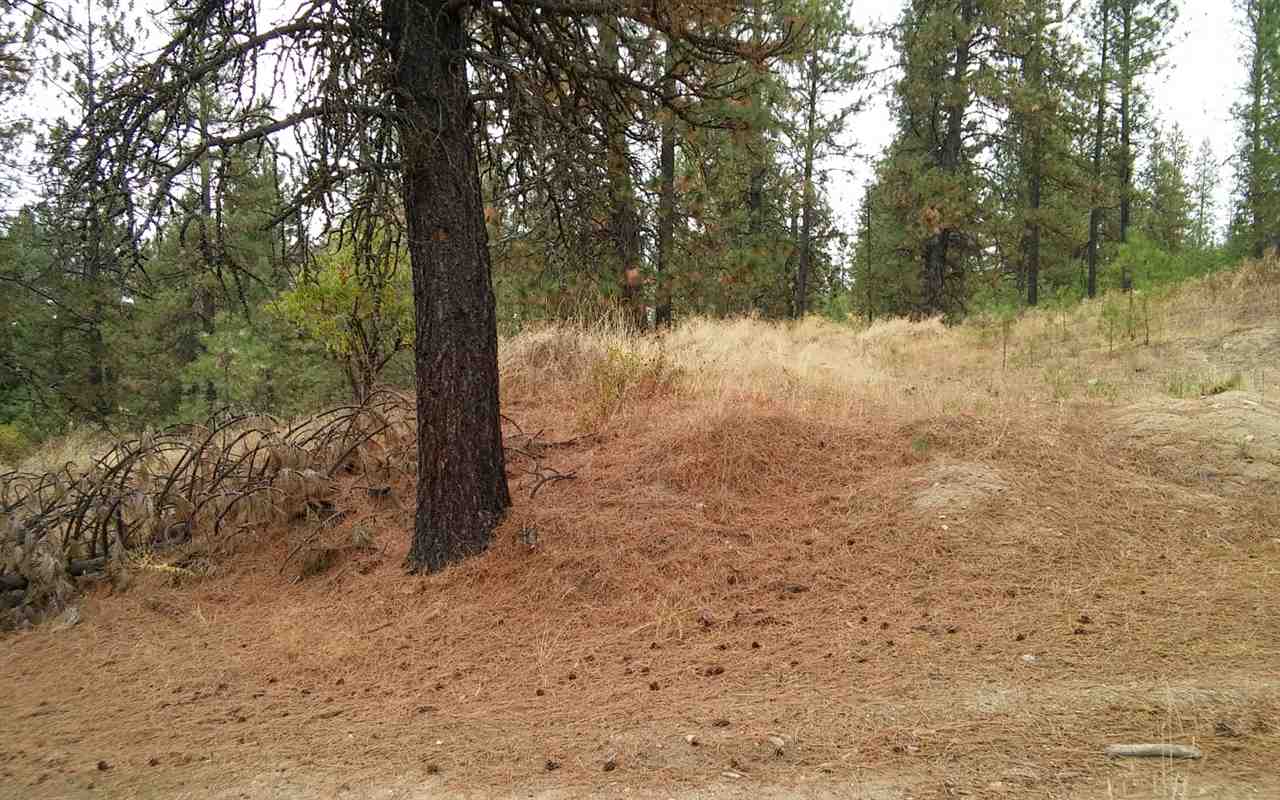 13604 East Nelson Road Elk, WA 99009 - Photo 14 of 20
