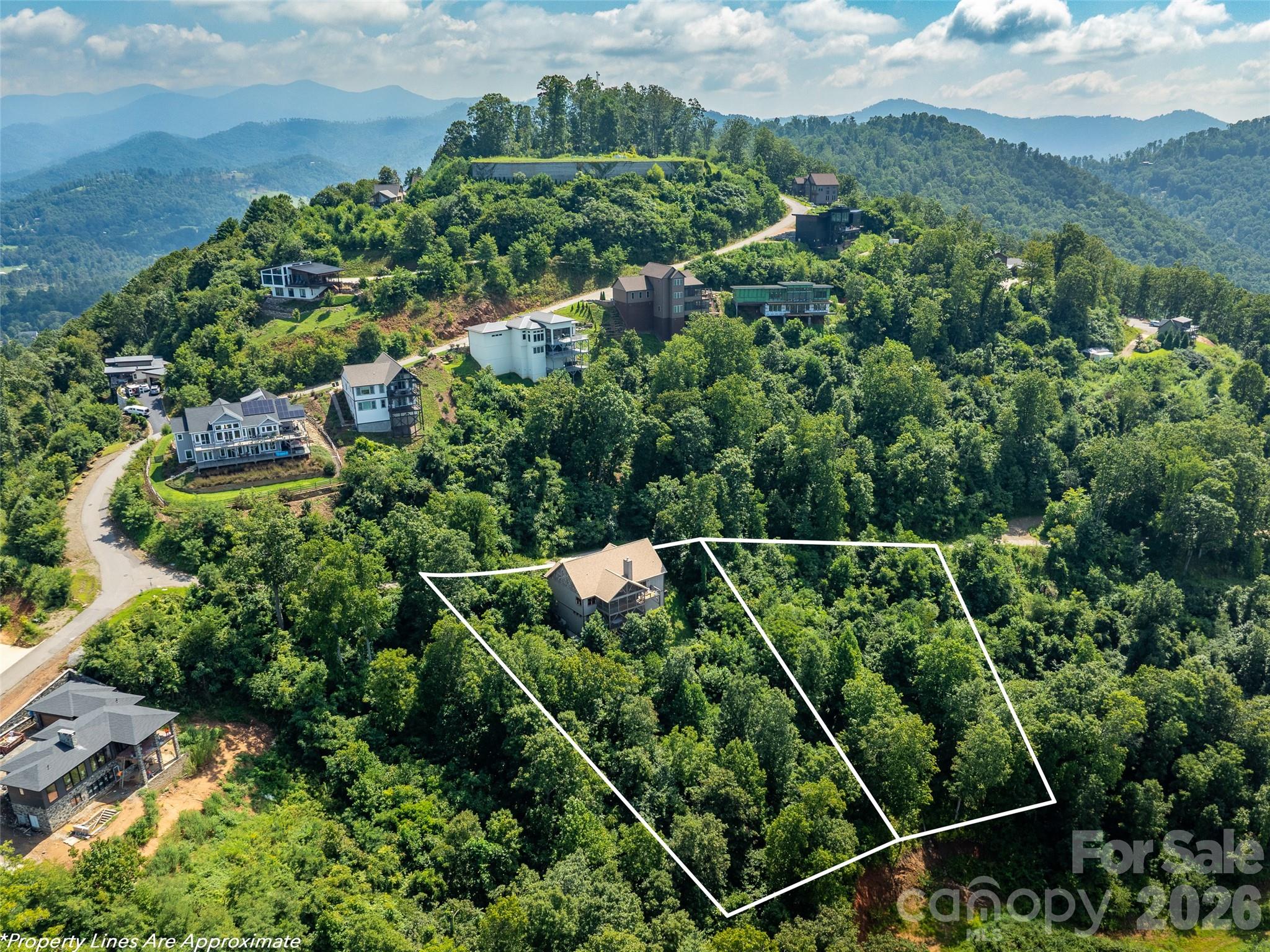 9 Soaring Hawk View Asheville, NC 28804 - Photo 3 of 34