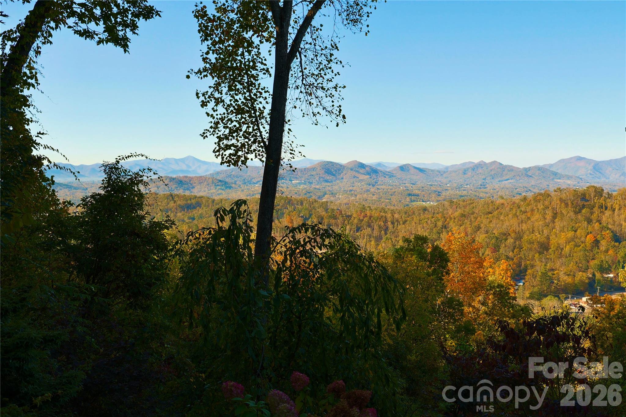 9 Soaring Hawk View Asheville, NC 28804 - Photo 32 of 34