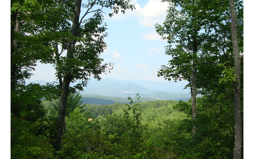 2 Pinnacle Lane Murphy, NC 28906 - Photo 1 of 1 a view of a garden