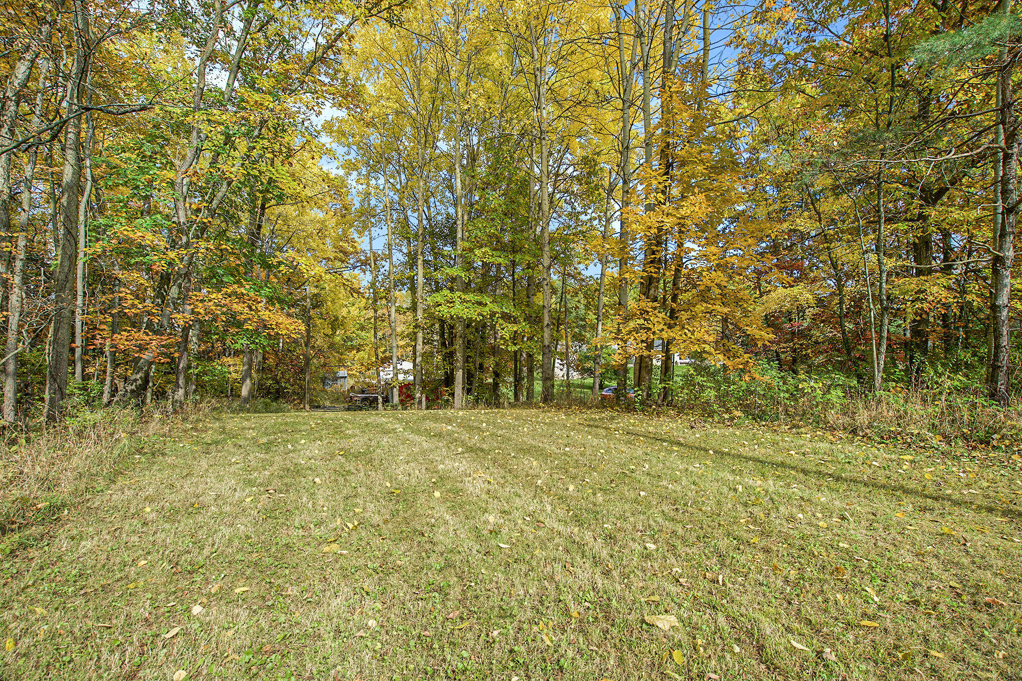 13346 Lippert Road Concord, MI 49237 - Photo 34 of 42 034_dsc08508