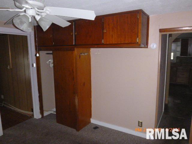 473 West Vine Street Canton, IL 61520 - Photo 13 of 29