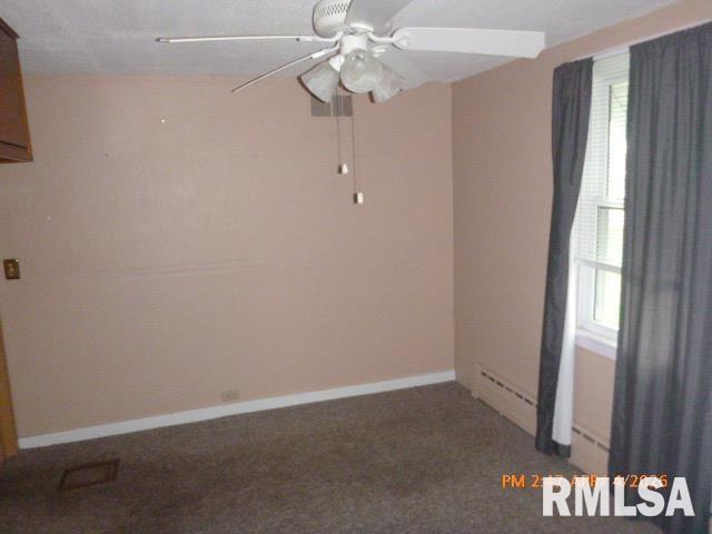 473 West Vine Street Canton, IL 61520 - Photo 15 of 29