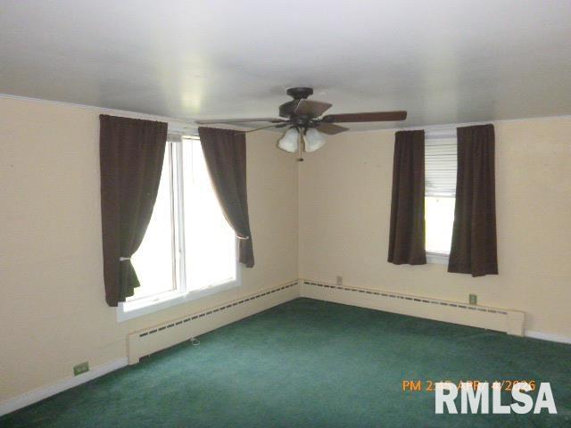 473 West Vine Street Canton, IL 61520 - Photo 7 of 29