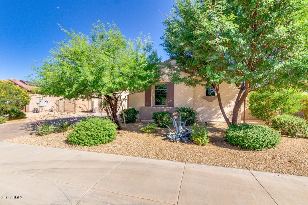 15619 West Roma Avenue Goodyear, AZ 85395 - Photo 3 of 21 03-Roma