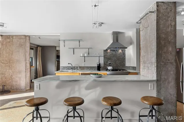 $225,000 | 4466 West Pine Boulevard, Unit 2G, St. Louis, MO 63108