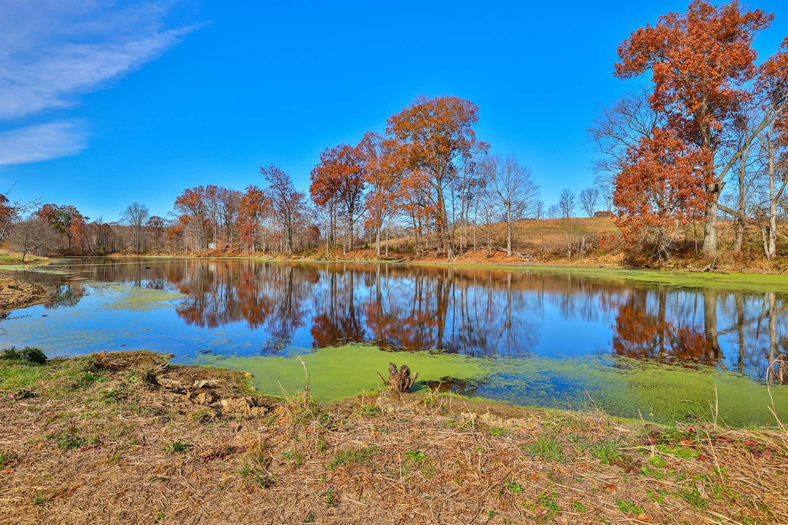 940 Lead Mine Road Owenton, KY 40359 - Photo 18 of 29 Gallery Image 18