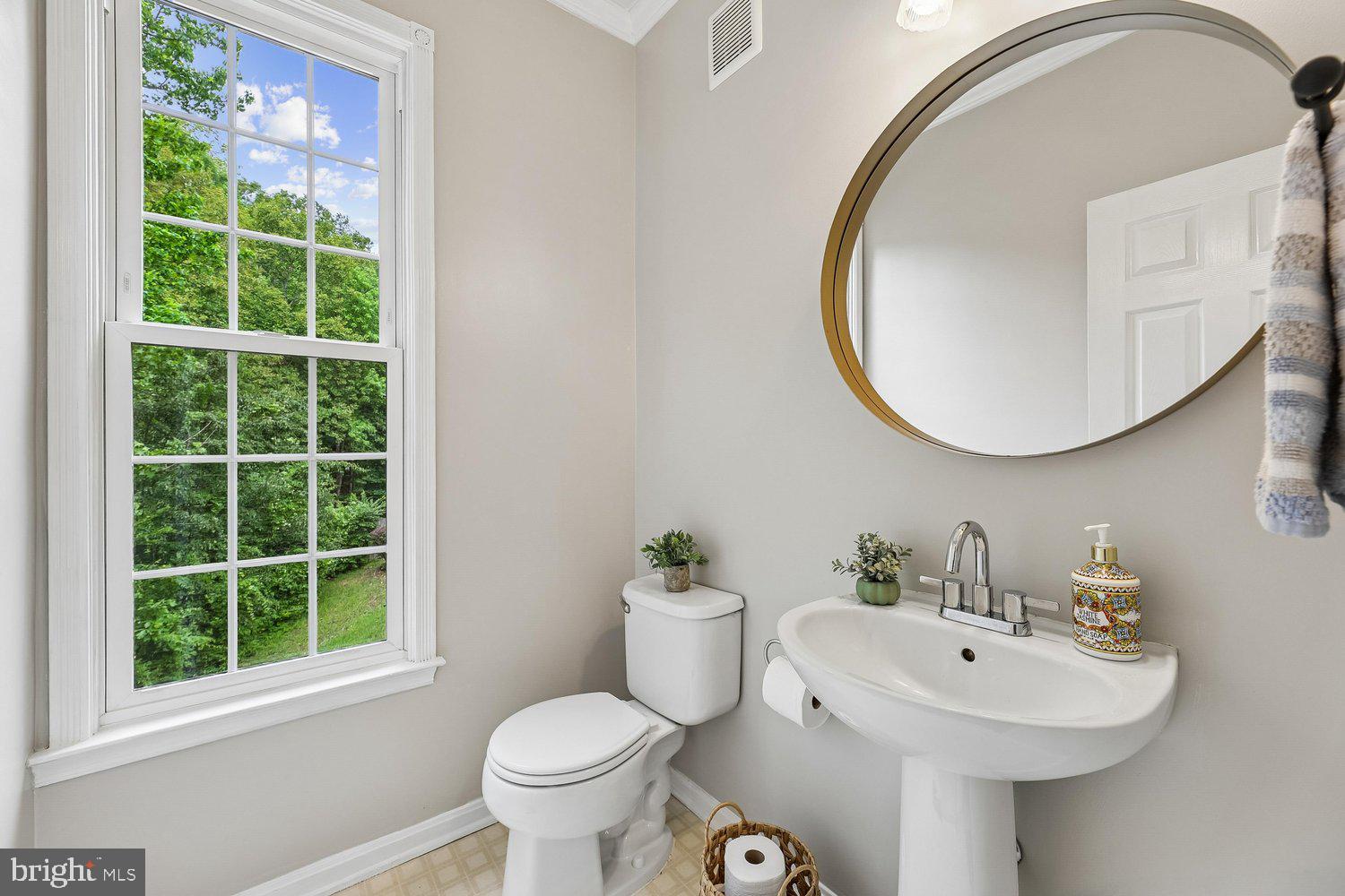 3707 Turn Back Trail Triangle, VA 22172 - Photo 21 of 55 a bathroom with a sink mirror and toilet