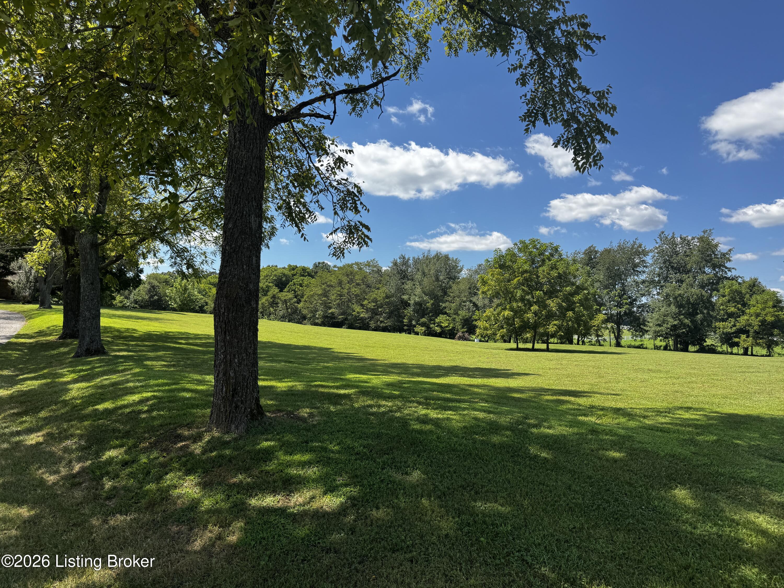 643 Molly Brown Road Brandenburg, KY 40108 - Photo 4 of 69 4