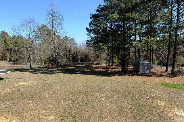 1999 Southeast Hunt Road Cleveland, TN 37323 - Photo 20 of 23 Spacious backyard