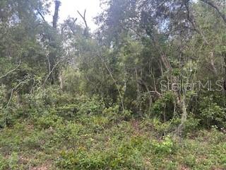 Karagan Court Webster, FL 33597 - Photo 2 of 7