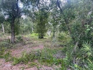 Karagan Court Webster, FL 33597 - Photo 5 of 7