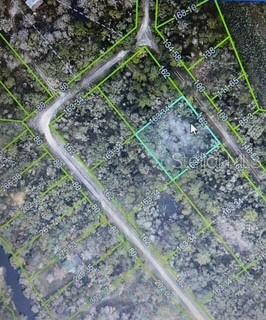 Karagan Court Webster, FL 33597 - Photo 7 of 7