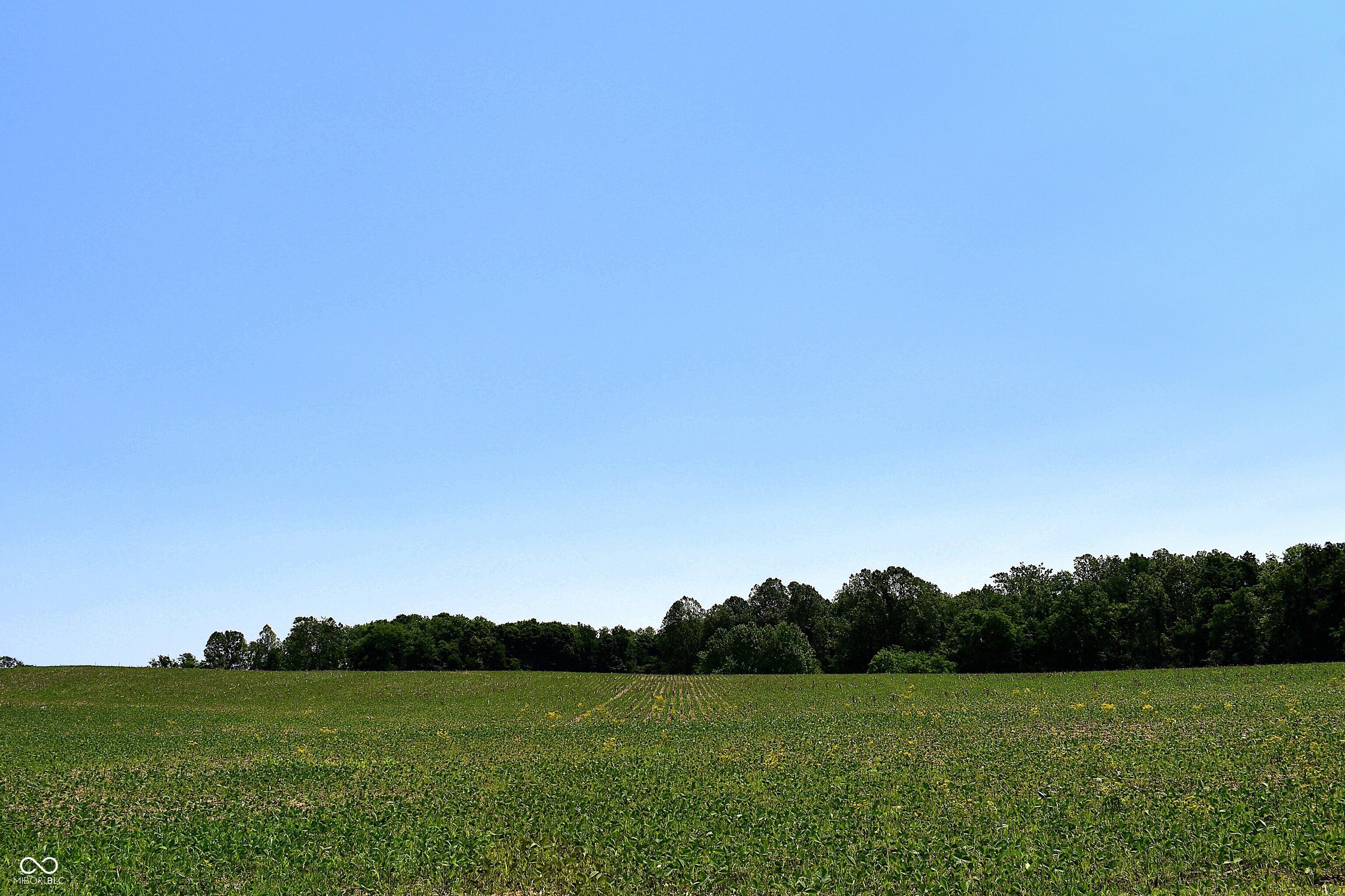 0 Watson Road East Mooresville, IN 46158 - Photo 15 of 20