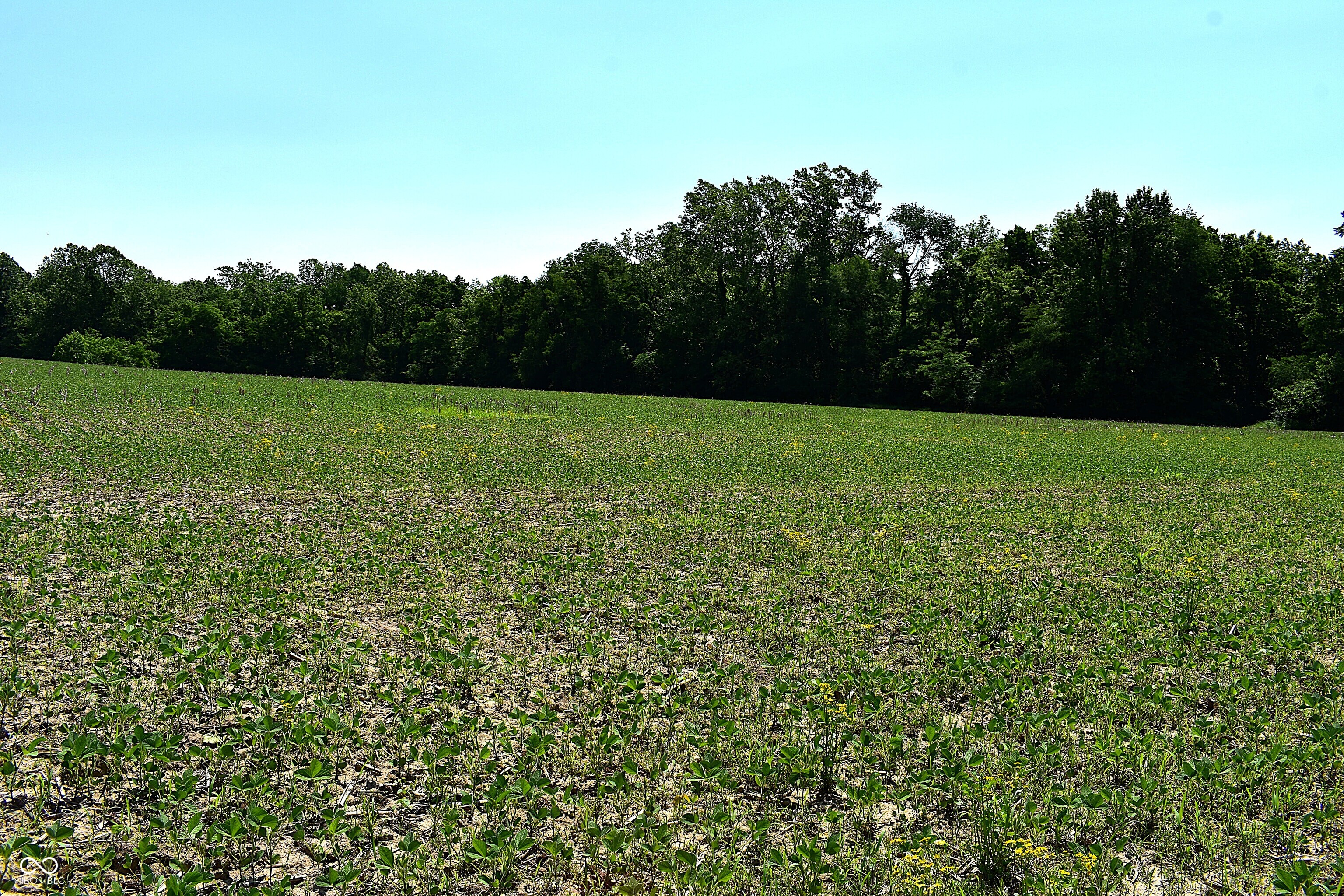 0 Watson Road East Mooresville, IN 46158 - Photo 17 of 20