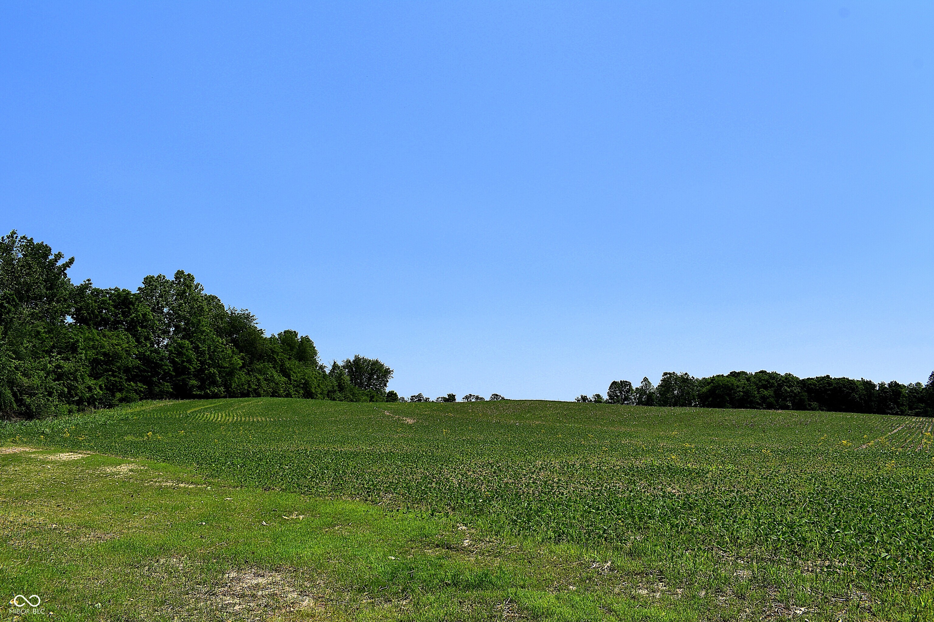 0 Watson Road East Mooresville, IN 46158 - Photo 19 of 20
