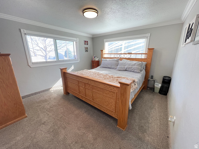 1852 East 3500th Street South Vernal, UT 84078 - Photo 26 of 46 Bedroom with carpet floors, ornamental molding, a textured ceiling, and a textured wall