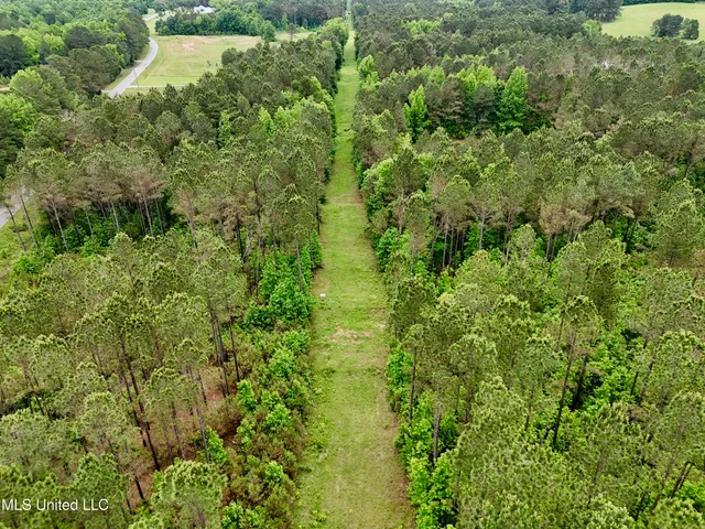 $115,000 | 0 Mt Carmel Road, Bailey, MS 39320