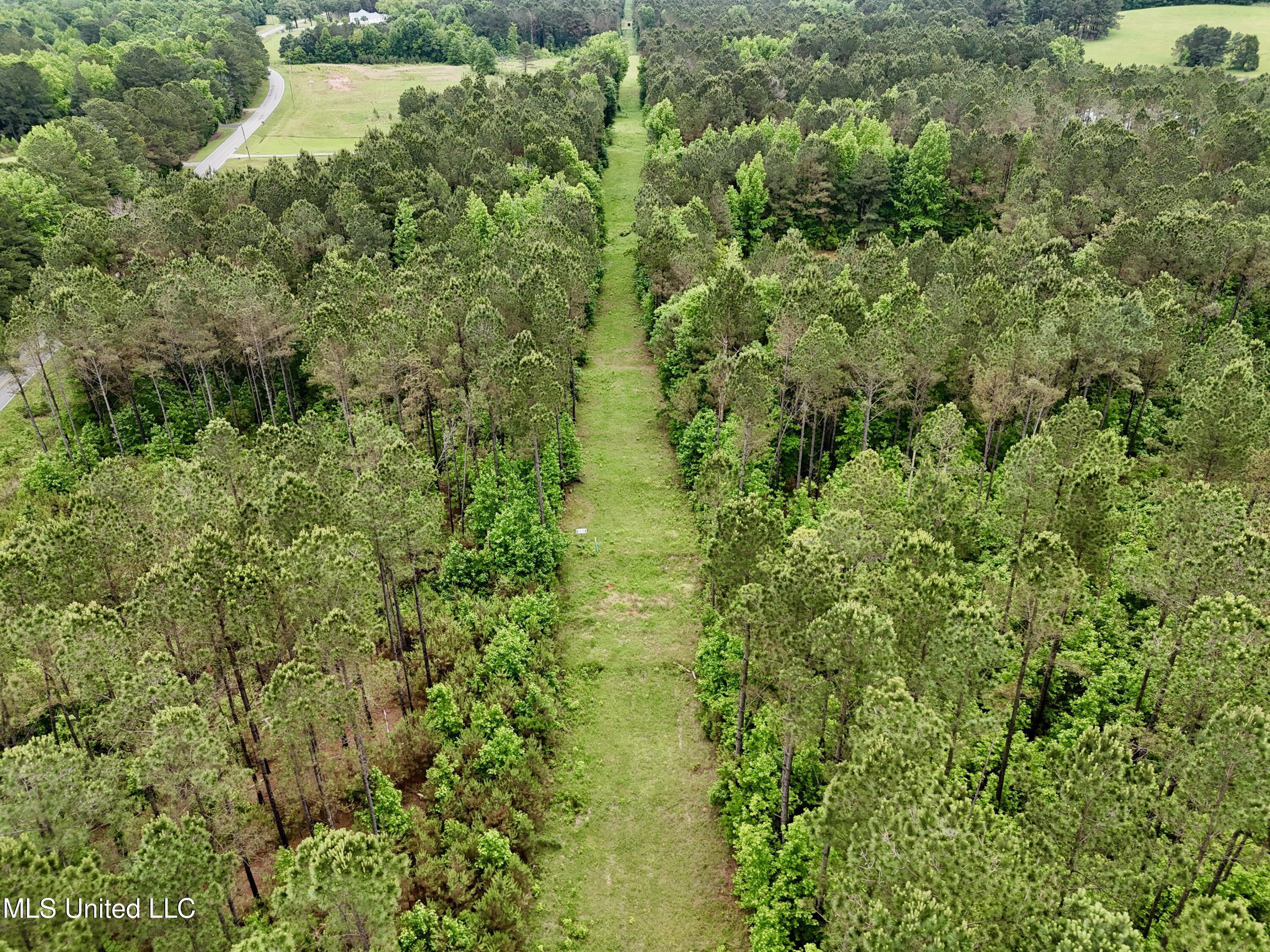 0 Mt Carmel Road Bailey, MS 39320 - Photo 12 of 26 1DEB795A-8637-499E-8516-FFC090BB750A_1_2