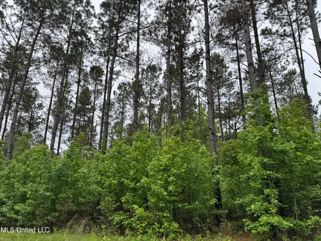 $115,000 | 0 Mt Carmel Road, Bailey, MS 39320