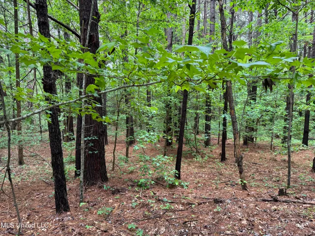 $115,000 | 0 Mt Carmel Road, Bailey, MS 39320