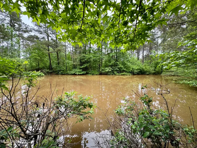 $115,000 | 0 Mt Carmel Road, Bailey, MS 39320