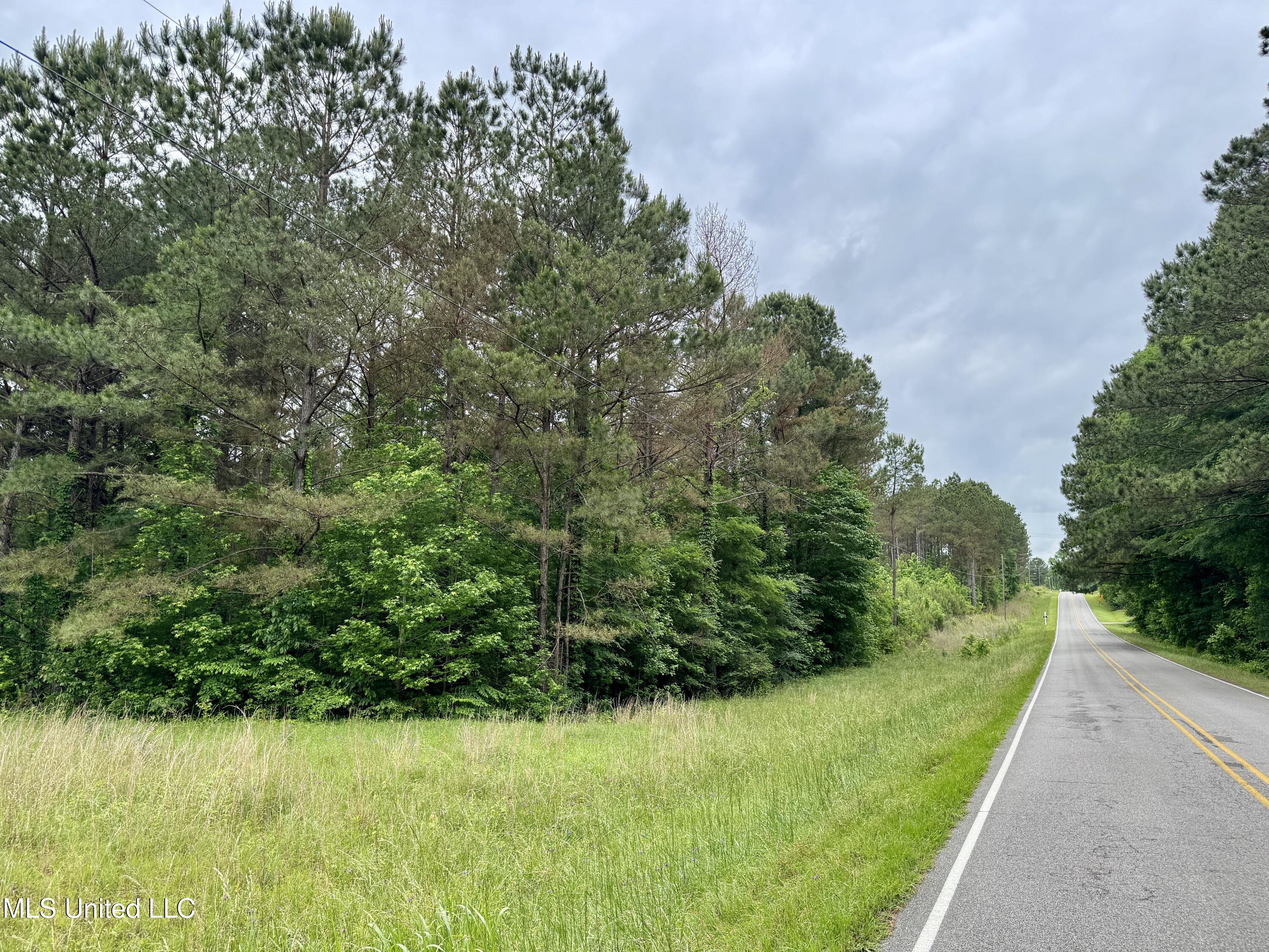 0 Mt Carmel Road Bailey, MS 39320 - Photo 19 of 26 F5518FB7-A224-492F-B019-ABAE4F6D99BD_1_2