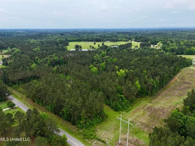 $115,000 | 0 Mt Carmel Road, Bailey, MS 39320