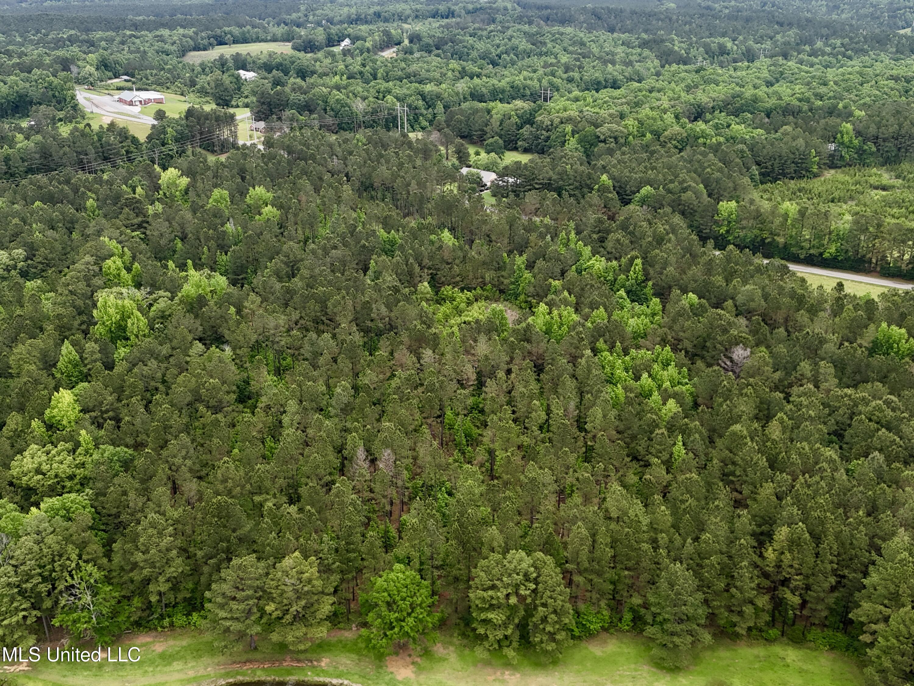 0 Mt Carmel Road Bailey, MS 39320 - Photo 21 of 26 956E4592-6180-4B02-A644-DFB702712C50_1_2