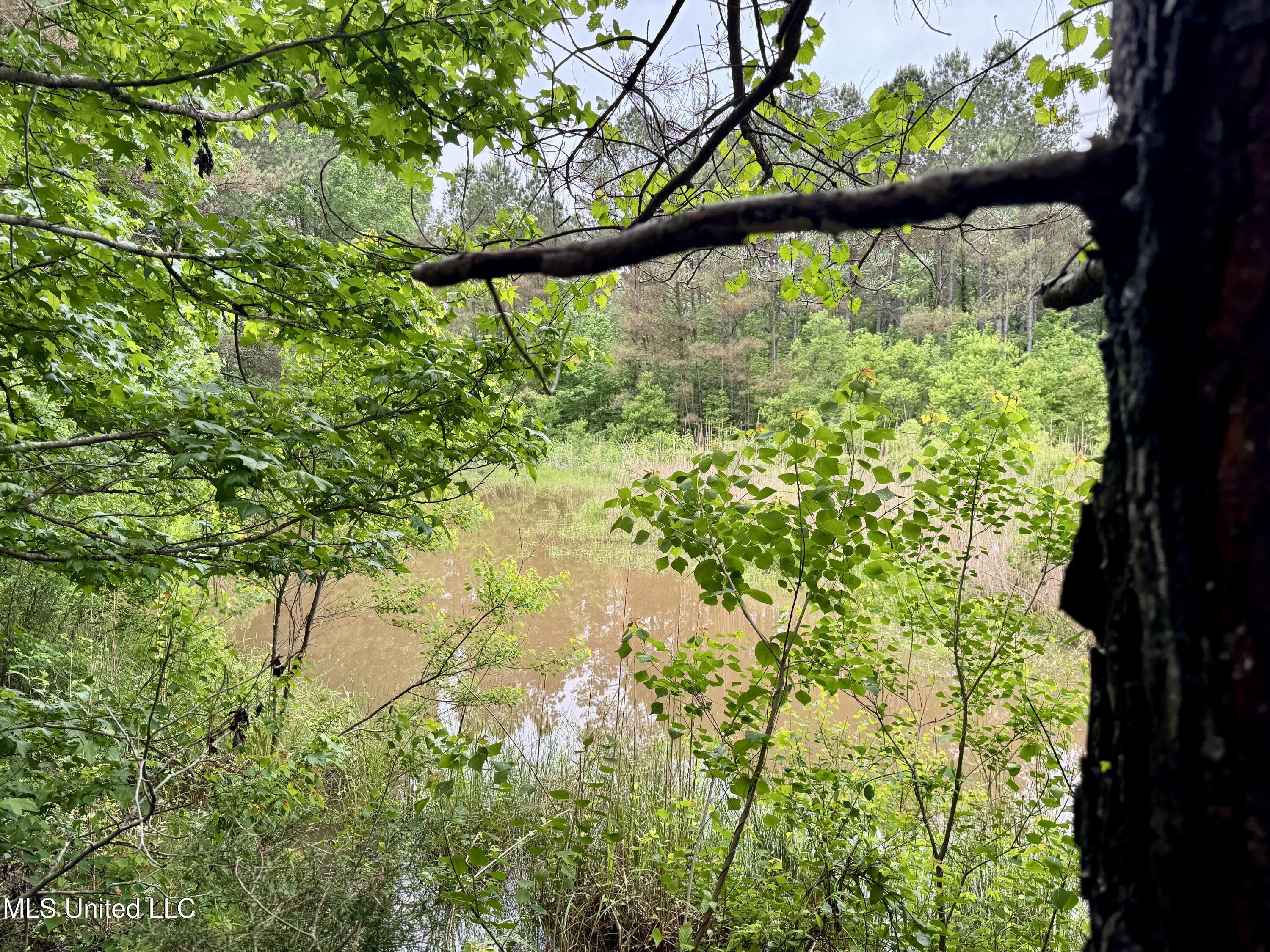 0 Mt Carmel Road Bailey, MS 39320 - Photo 22 of 26 A8C71681-3886-4489-8DCF-B94E572B3A17_1_2