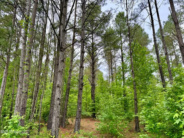 $115,000 | 0 Mt Carmel Road, Bailey, MS 39320