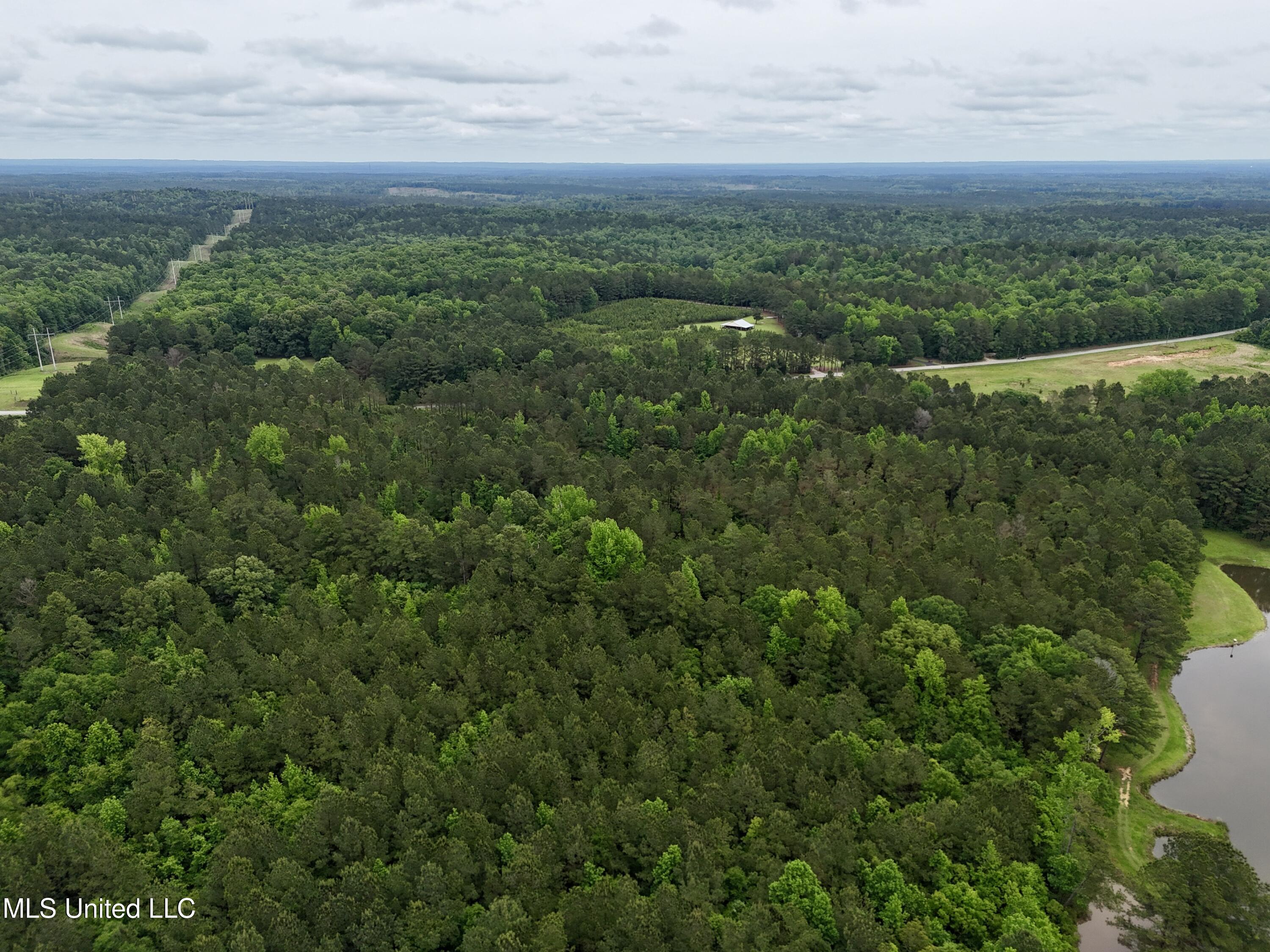 0 Mt Carmel Road Bailey, MS 39320 - Photo 25 of 26 80B81B82-C0A0-4085-9688-9E2A1DAD866D_1_2