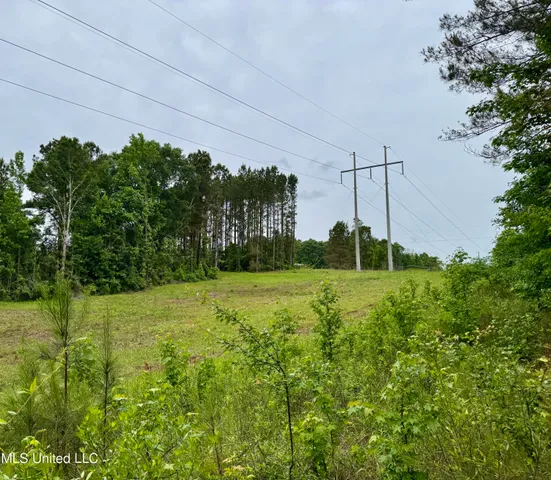 $115,000 | 0 Mt Carmel Road, Bailey, MS 39320