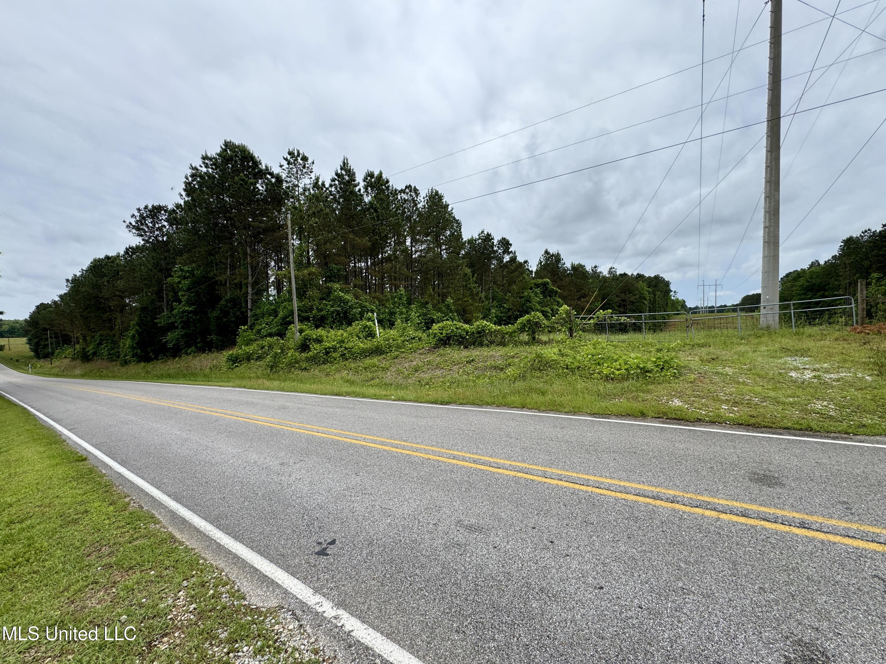 0 Mt Carmel Road Bailey, MS 39320 - Photo 3 of 26 CEEA3595-333E-4948-AE27-E8B4746F8803_1_2
