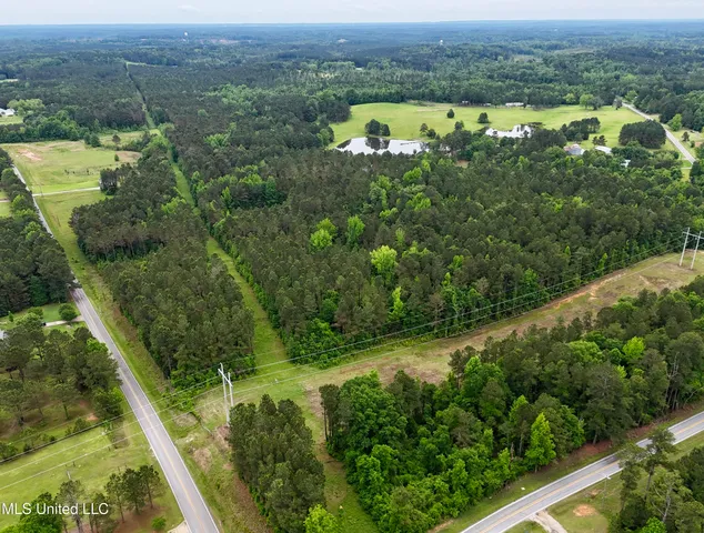 $115,000 | 0 Mt Carmel Road, Bailey, MS 39320