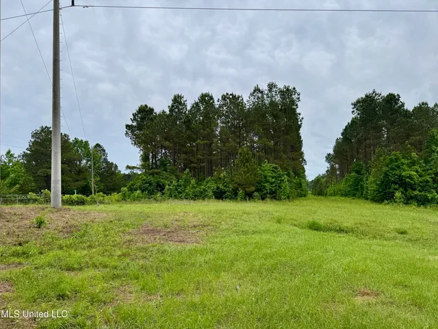 $115,000 | 0 Mt Carmel Road, Bailey, MS 39320