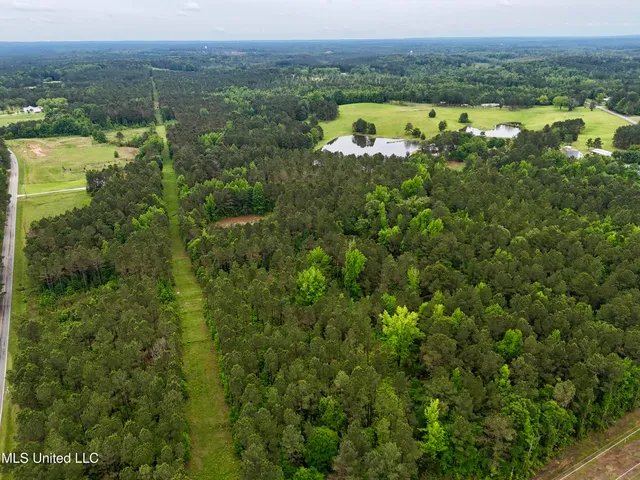 $115,000 | 0 Mt Carmel Road, Bailey, MS 39320