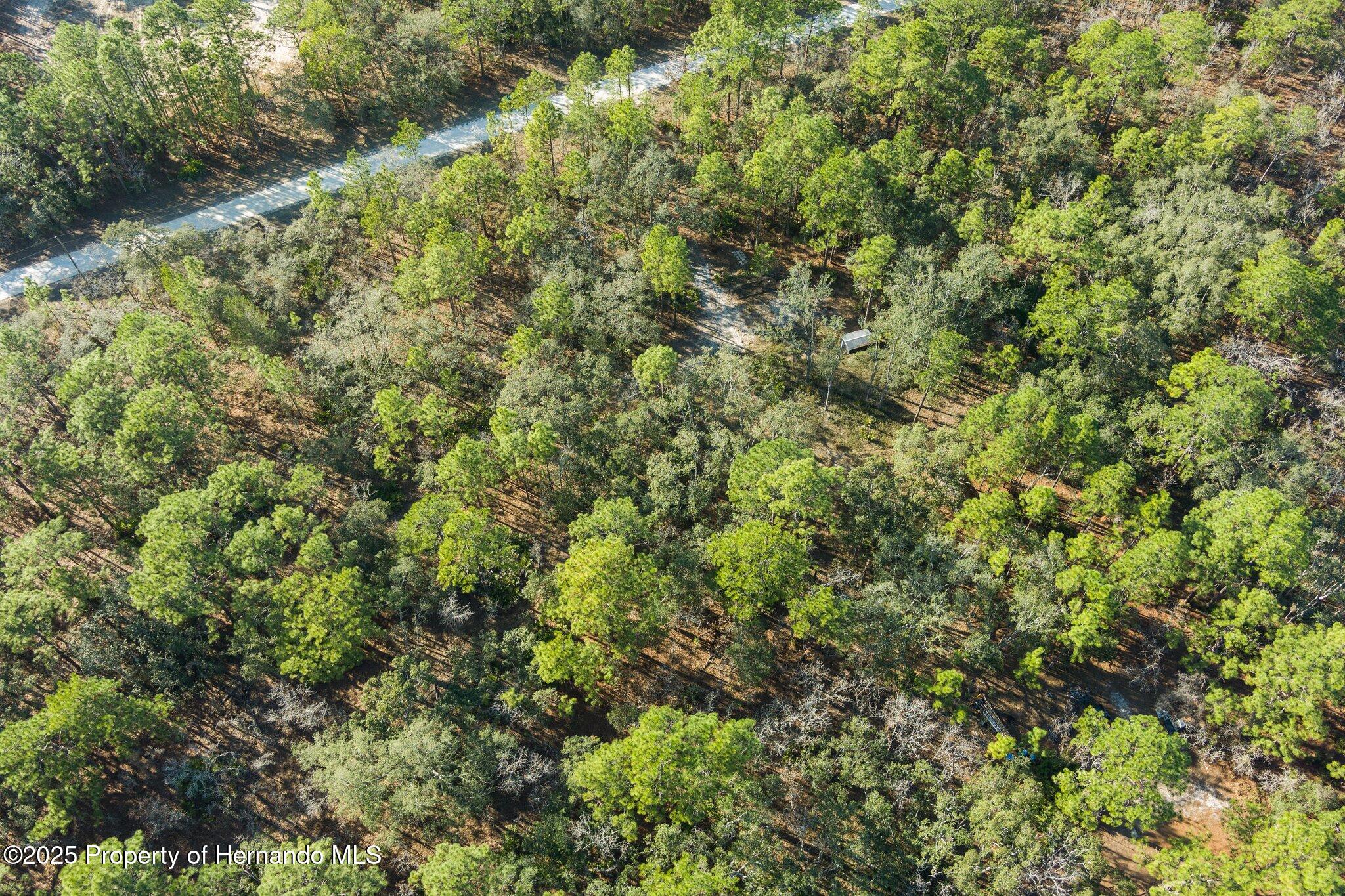 16046 Magpie Road Brooksville, FL 34614 - Photo 10 of 17
