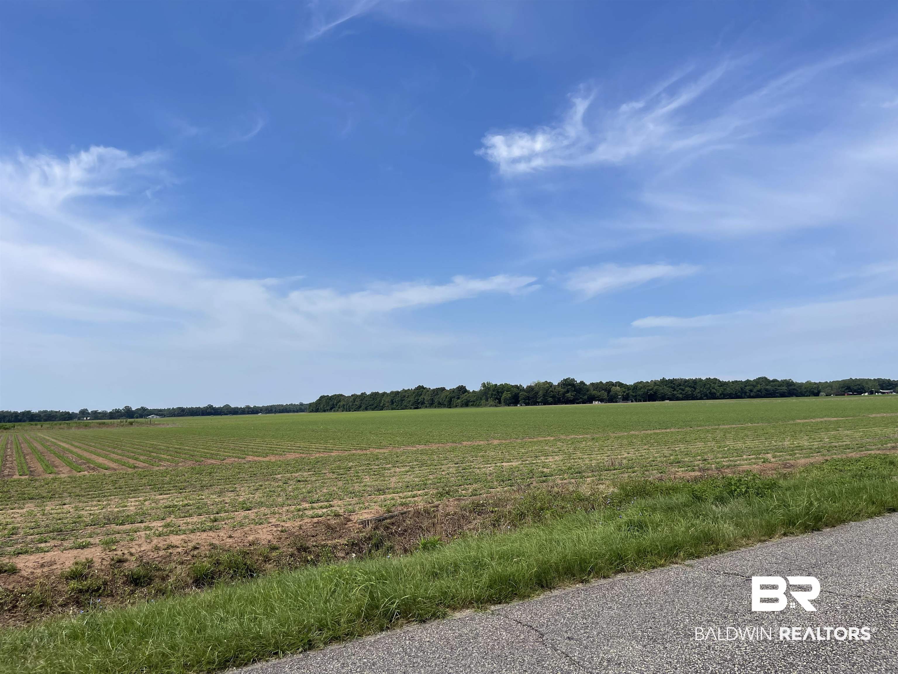 1 Highway 182 Milton, FL 32571 - Photo 6 of 23