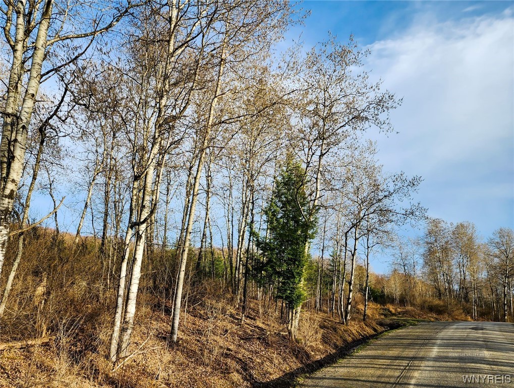 0 Quigg Hollow Road Andover, NY 14806 - Photo 19 of 19