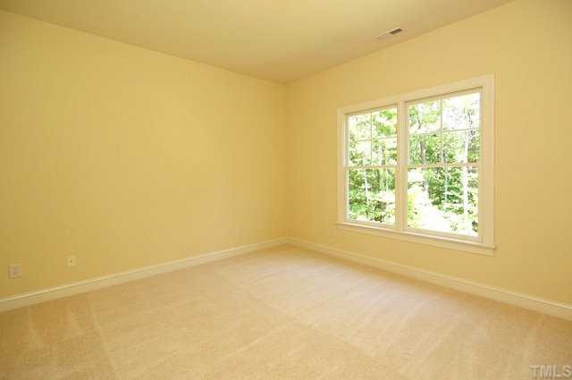 3932 Bending Birch Drive Raleigh, NC 27613 - Photo 21 of 25 Other