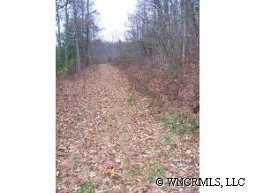 Lot 40 Phase 1-b, Unit LOT 40 Clyde, NC 28721 - Photo 3 of 10 a view of a yard with trees in the background